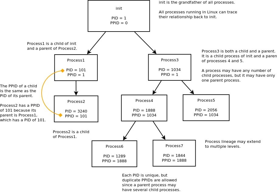 Pid process. Идентификатор процесса (pid) (pid (process identifier). Pid Linux. Процесс init. Int pid