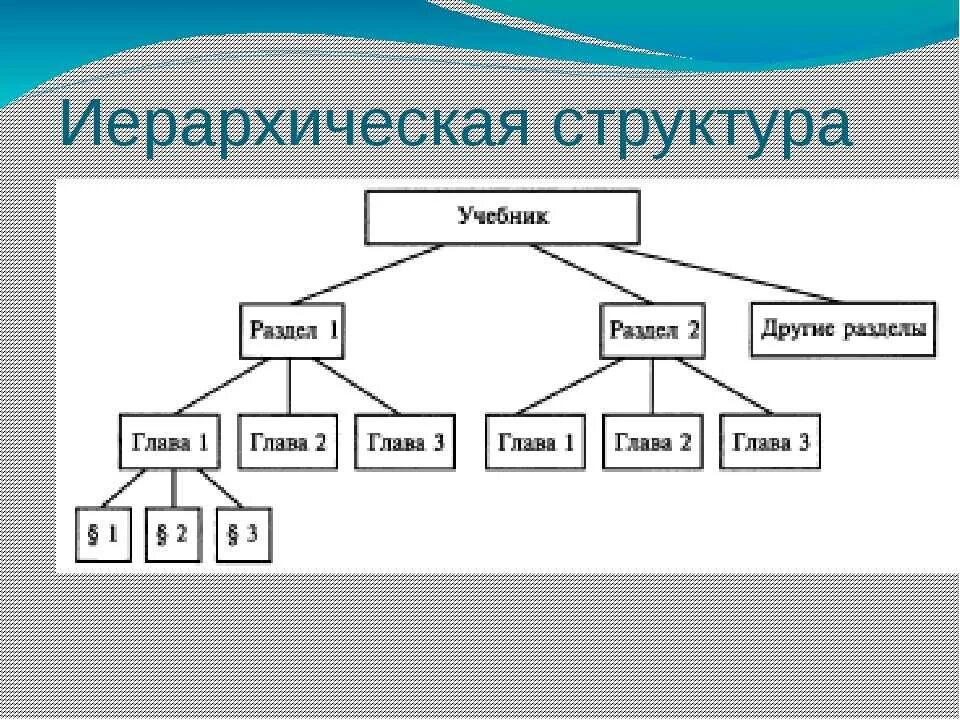 Иерархическая структура. Схема иерархической структуры. Неиерархические структуры. Иерархическая структура пример. Основной состав пример