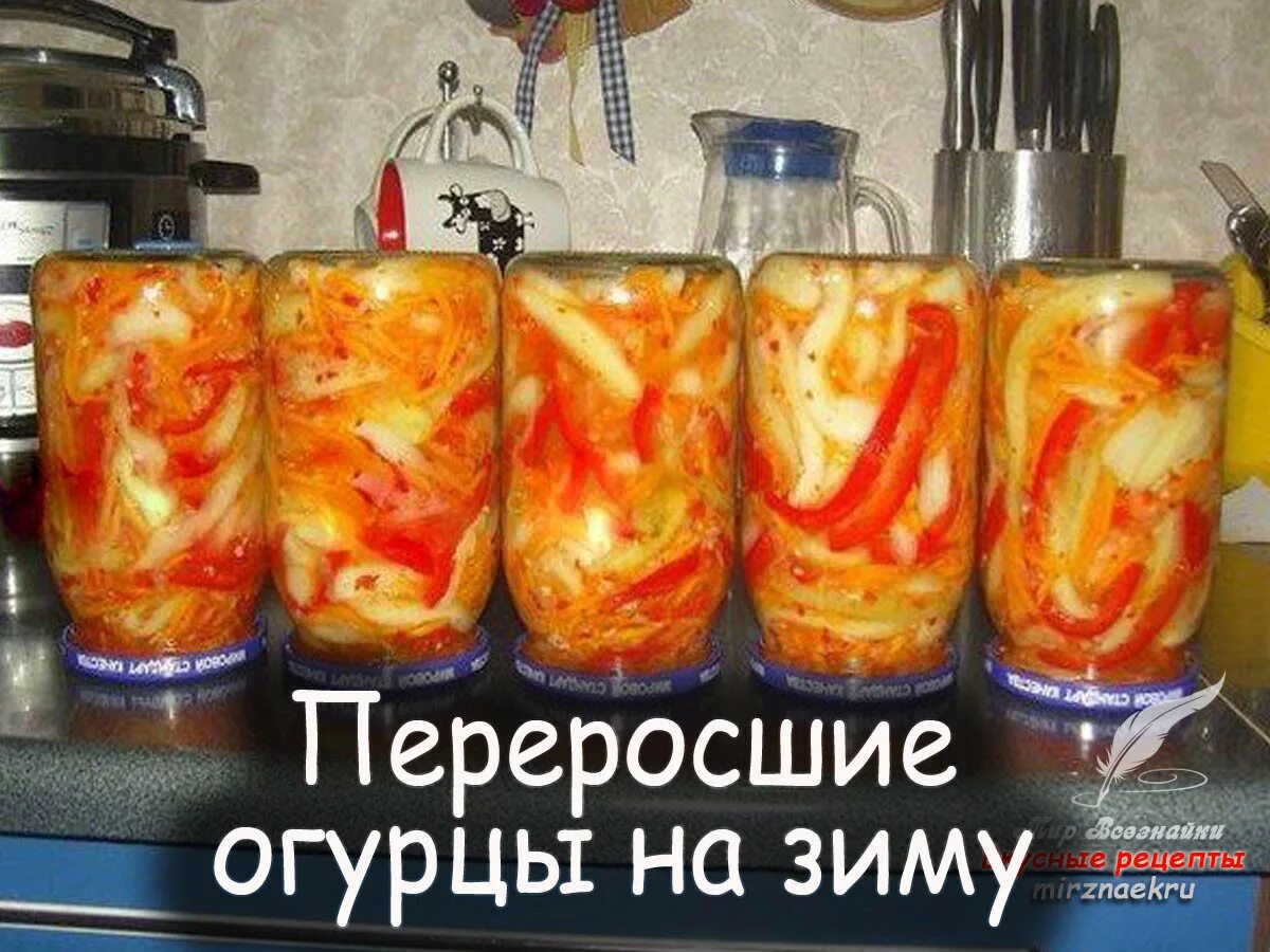 Как приготовить переросшие огурцы рецепты. Огурцы переросшие на зиму. заготовки из переросших огурцов. салат из переросших огурцов на зиму. заготовки из переросших огурцов на зиму.