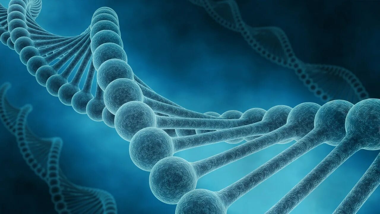Спираль днк. Dna fancy. Биохимические основы наследственности. Днк. Молекула днк.