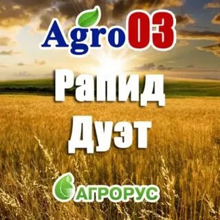 Имидж плюс