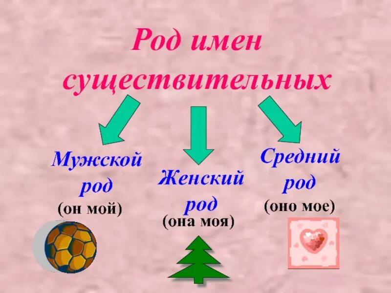 Имени существительного мужского рода, женского рода, среднего рода.. Мужской средний женский род имен существительных 2 класс. Род имёнисещиствительных. Родж имён существительных. Сладкий имя существительное