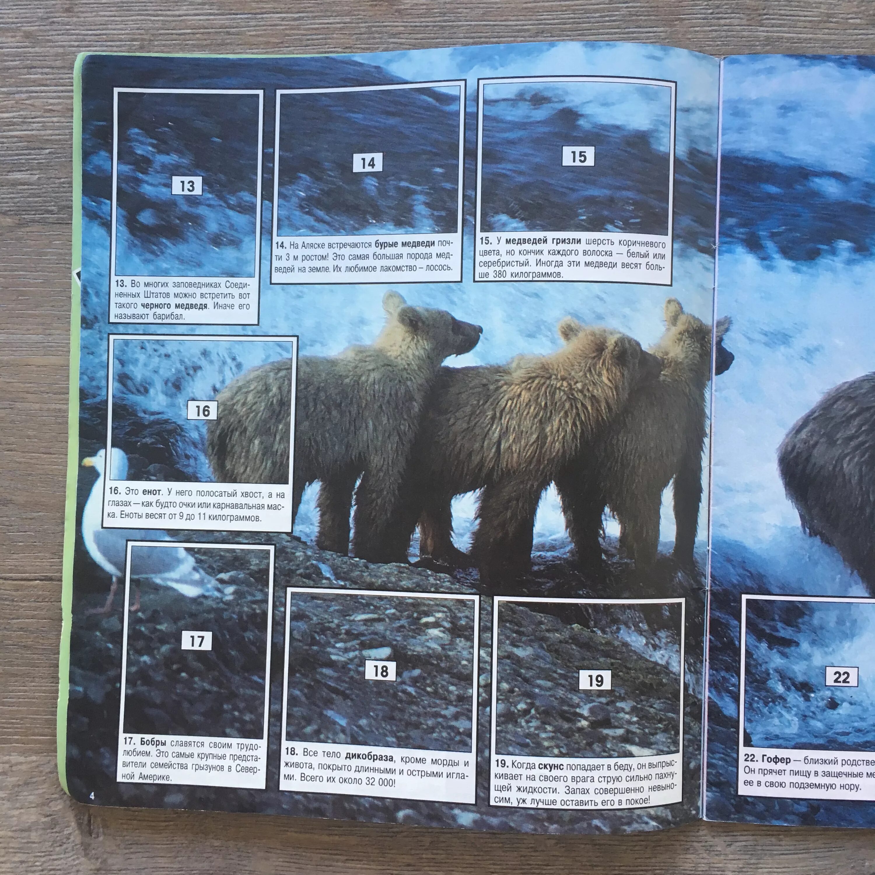 панини альбомы jurassic world. журнал парк юрского периода с наклейками. журнал с наклейками животные. журнал мир юрского периода панини. журнал с наклейками panini.