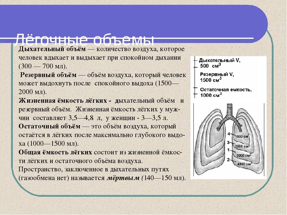 Дыхательные тесты легких. Легочные объемы и жизненная емкость легких. Дыхательные объемы и емкости легких. Дыхание объем легких. Дыхательный объём лёгких.