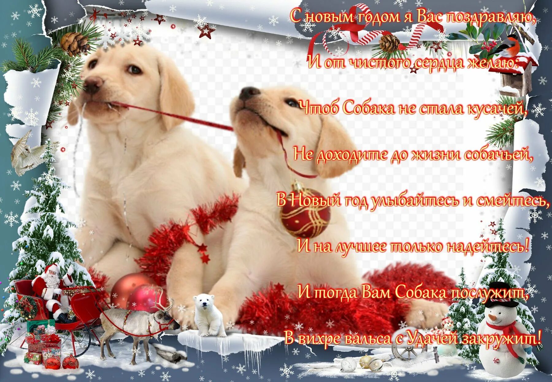 Новогодние открытки подругам. Поздравление с новым годом. Поздравление с новым годом для животных. Новогодние открытки с собаками. Поздравление собаки с новым годом.