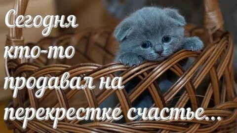 Сегодня кто то продавал на перекрестке