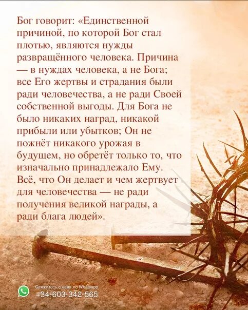 Скажи единственное