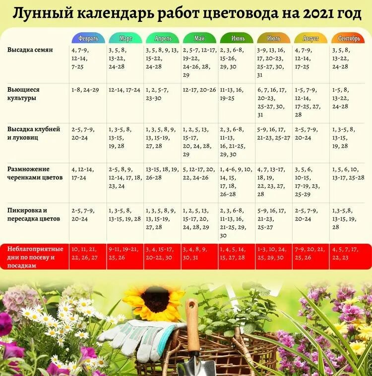 Посадочные дни цветов на рассаду в марте