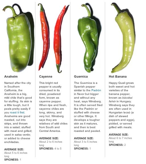 Купить семена Перец острый Hot pepper Hinkelhatz Pepper в Москве: доставка семян