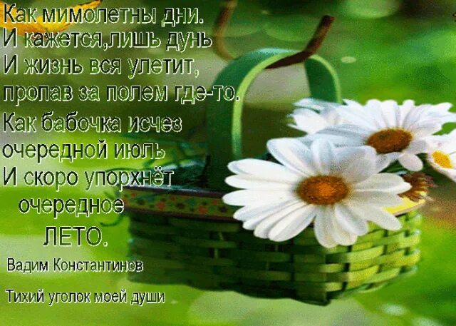 Красивое стихотворение о лете. Стихи про июль красивые. Конец июля стихи. Стихи про конец августа. Стихи про уходящее лето.