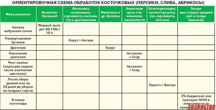 Весенняя обработка персика