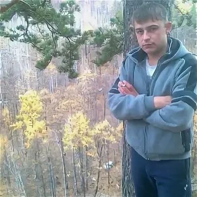 Муравей чита хилок