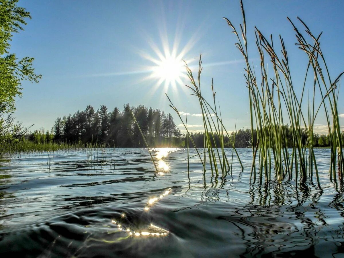 Погода на озере вода. Озеро солнце. Отражение солнца в воде. Пейзаж с отражением в воде. Блики солнца на воде.