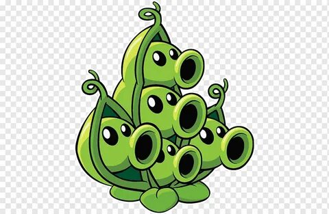 Pea rottnest pvz