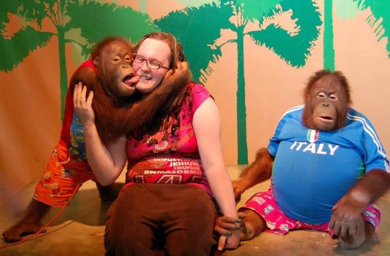 Браки мужчин обезьян. Два человека и обезьяна. Обезьяна и баба. Девушка и обезьяна. Женщина с обезьянкой.