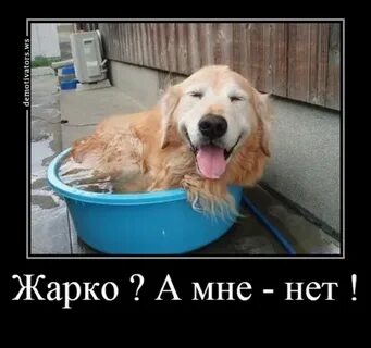 Стой горячо