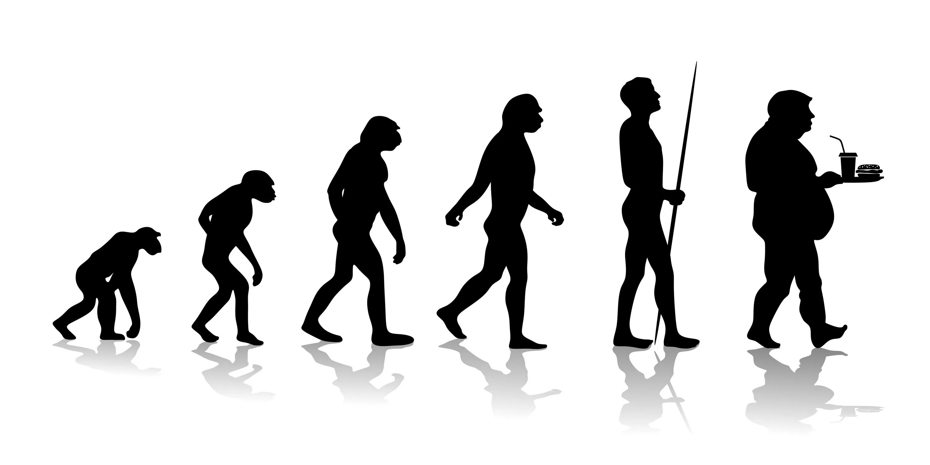 От обезьяны до человека. Эволюция. Эволюция от обезьяны. Человек от обезьяны до человека.
