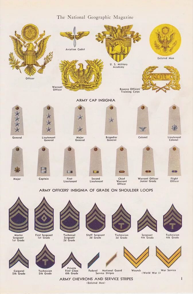 Us ranks. Воинские звания США второй мировой. Звания армии США во второй мировой. Rank Insignia 1943. Звания американской армии второй мировой войны.