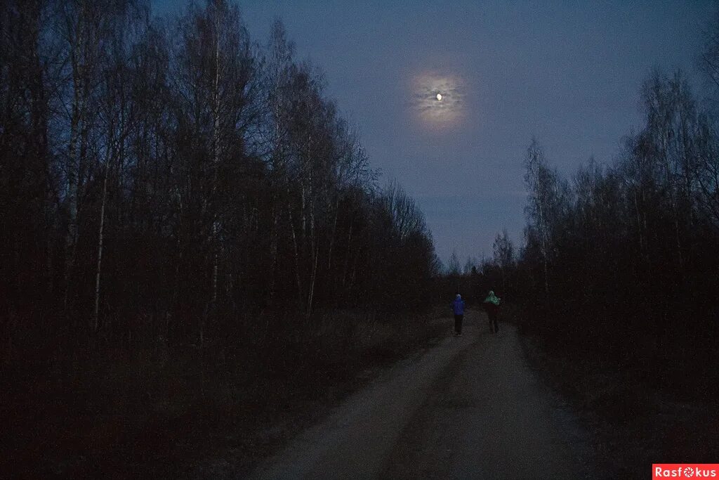 лунная ночь малая вишера. лунная ночь в отрадном презентация. летняя ночь. лунная ночь ступино. силуэт церкви в лунную ночь.