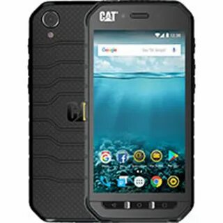 Cat s 0