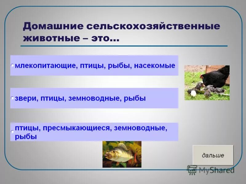 животноводство презентация. сельскохозяйственные животные и птицы. отраслижовотноводства. сельскохозяйственные животные и животноводство. сельскохозяйственными животными являются.