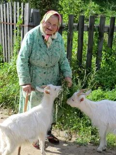 Пасет козу