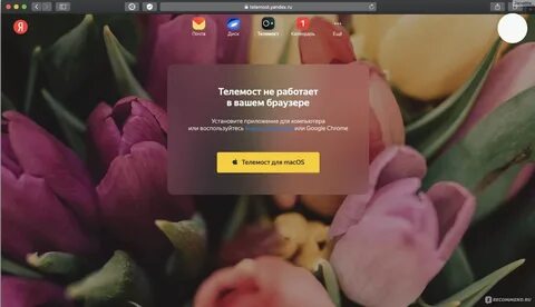 Удалить телемост