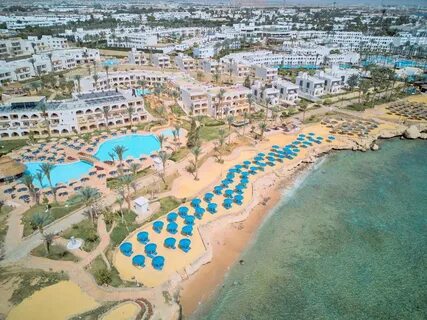 Pick albatros sharm