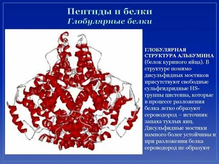 Альбумин иммуноглобулин