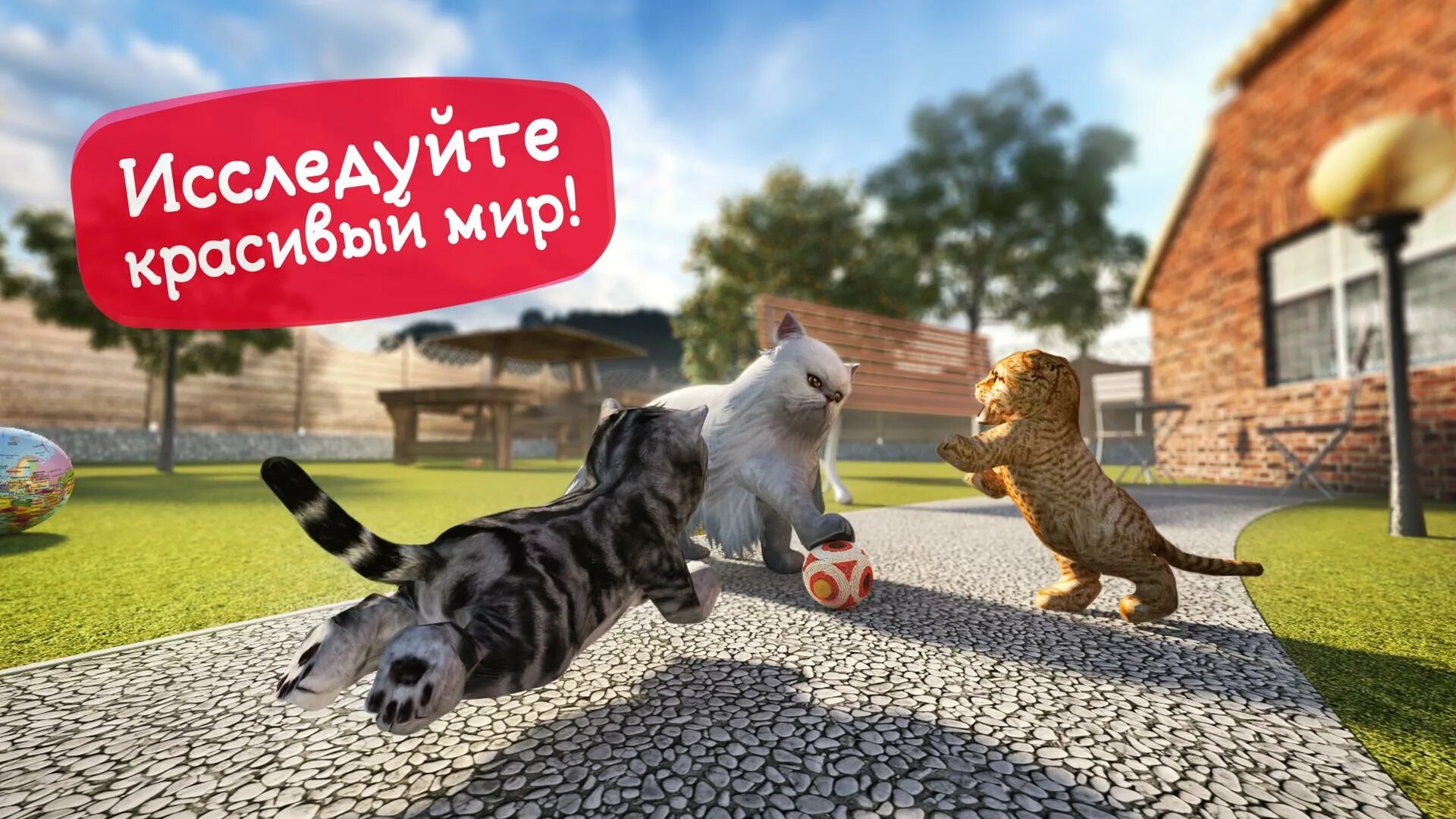 Котенок кошка симулятор. Игры кэт симулятор. симулятор кота и кошки. игры для кошек. симулятор кота ‑ жизнь к....