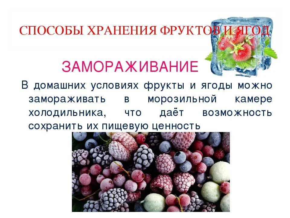 Сколько хранят ягоды. Правила хранения фруктов. Методы хранения овощей и фруктов. Условия хранения ягод. Способы хранения овощей и фрукто.