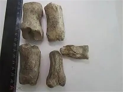Волчьи альчики кости. Битки из свинца. Косточки для игры в бабки. Косточки для игры в бабки. Бабки костяные игра.