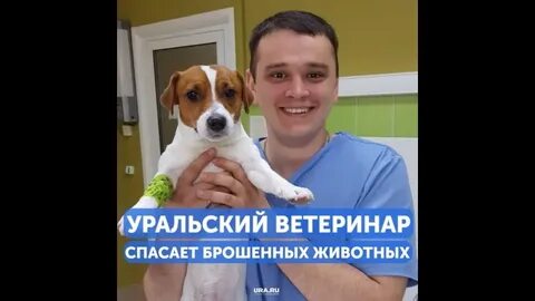 Ветеринары уральские