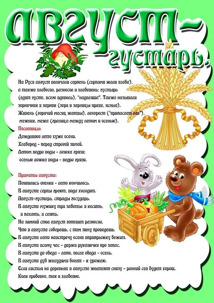 Папка раскладушка лето. Информация для родителей август средняя группа. Тема недели июль. Тема недели июль. Тема недели июль.
