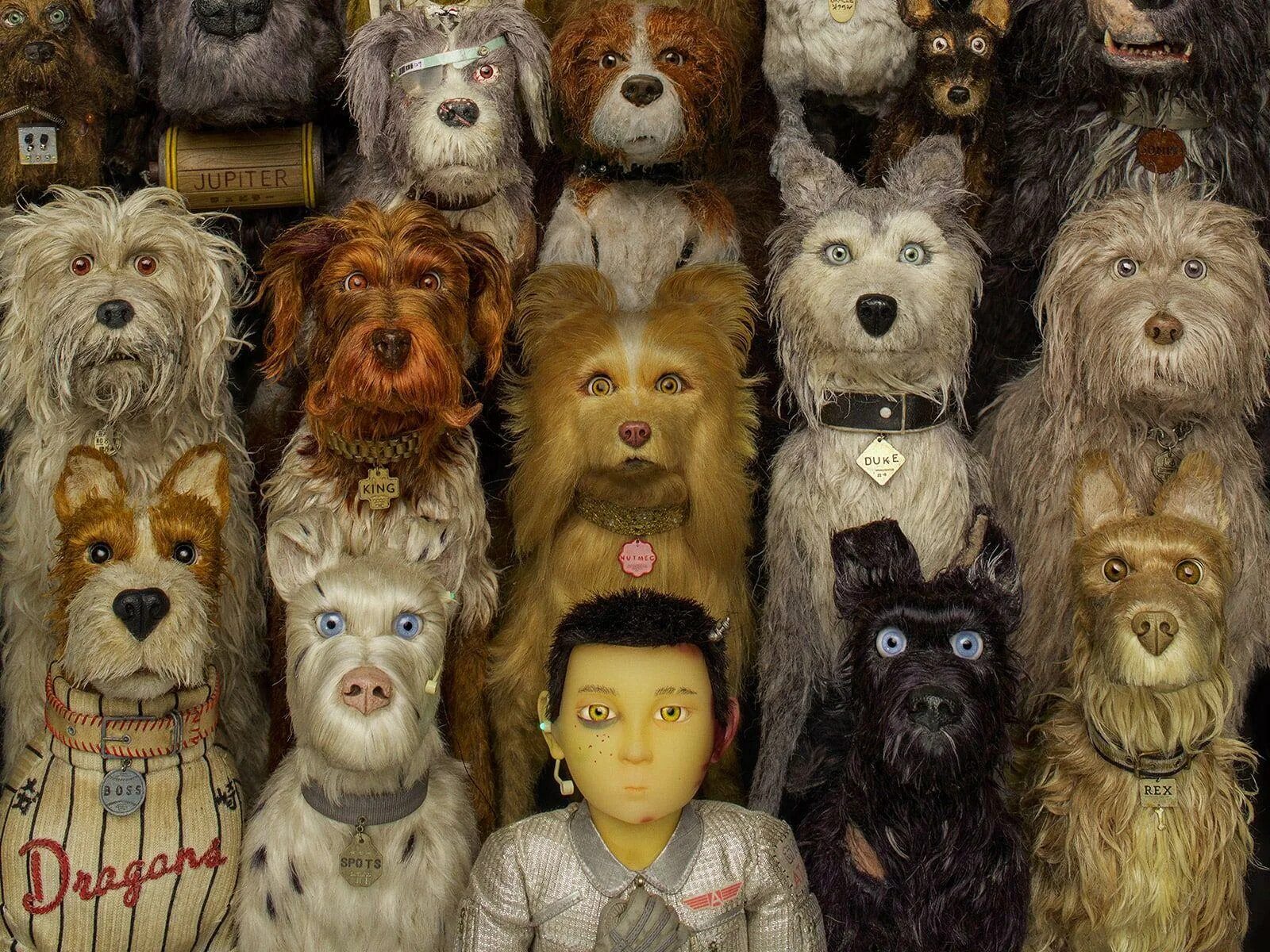 Temple of the dog. Остров собак ужс Андерс. Остров собак Уэсс Андерсен. Остров собак / Isle of Dogs (2018). Остров собак», Уэс Андерсон, 2018.