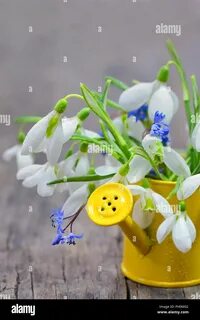 Не смотря на весну