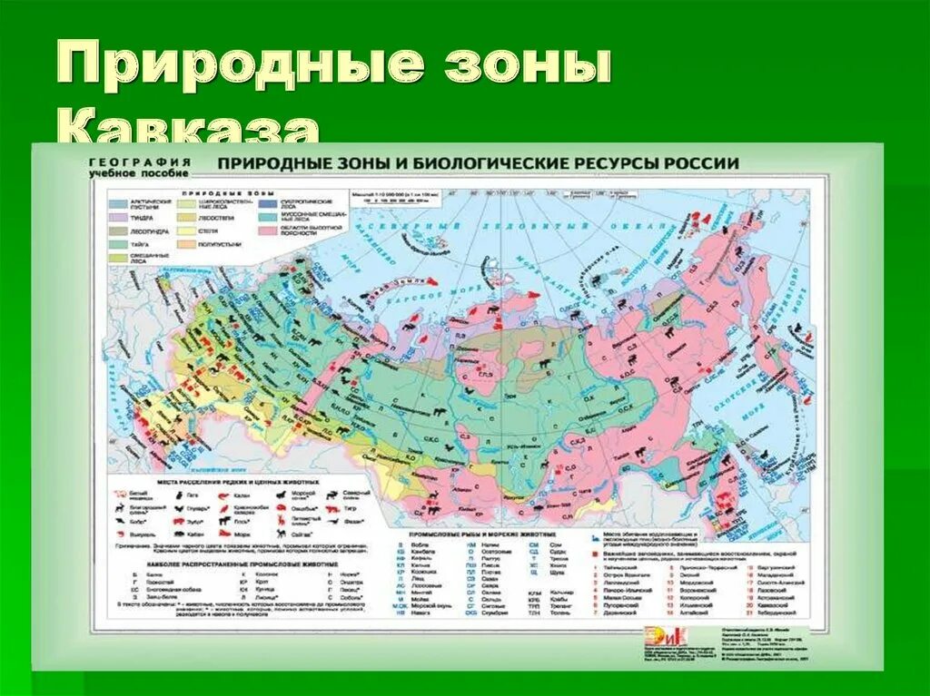 Назовите природную зону в которой расположено. Природные зоны Северного Кавказа. Карта природных зон. Природные зоны Кавказа карта. Кавказская природная зона.