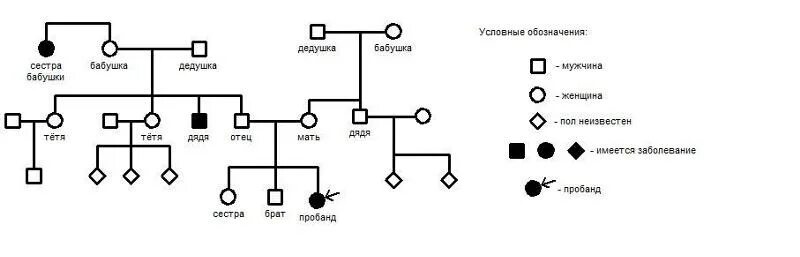 Составьте родословную семьи со случаем сахарного диабета. Составьте родословную семьи со случаем. Родословная семьи пробанд. Троюродная сестра в родословной. Дедушка по линии отца