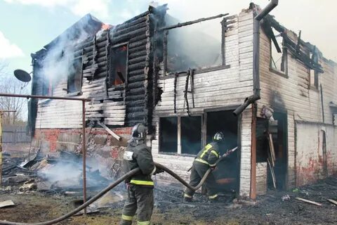 Чп новгородская область