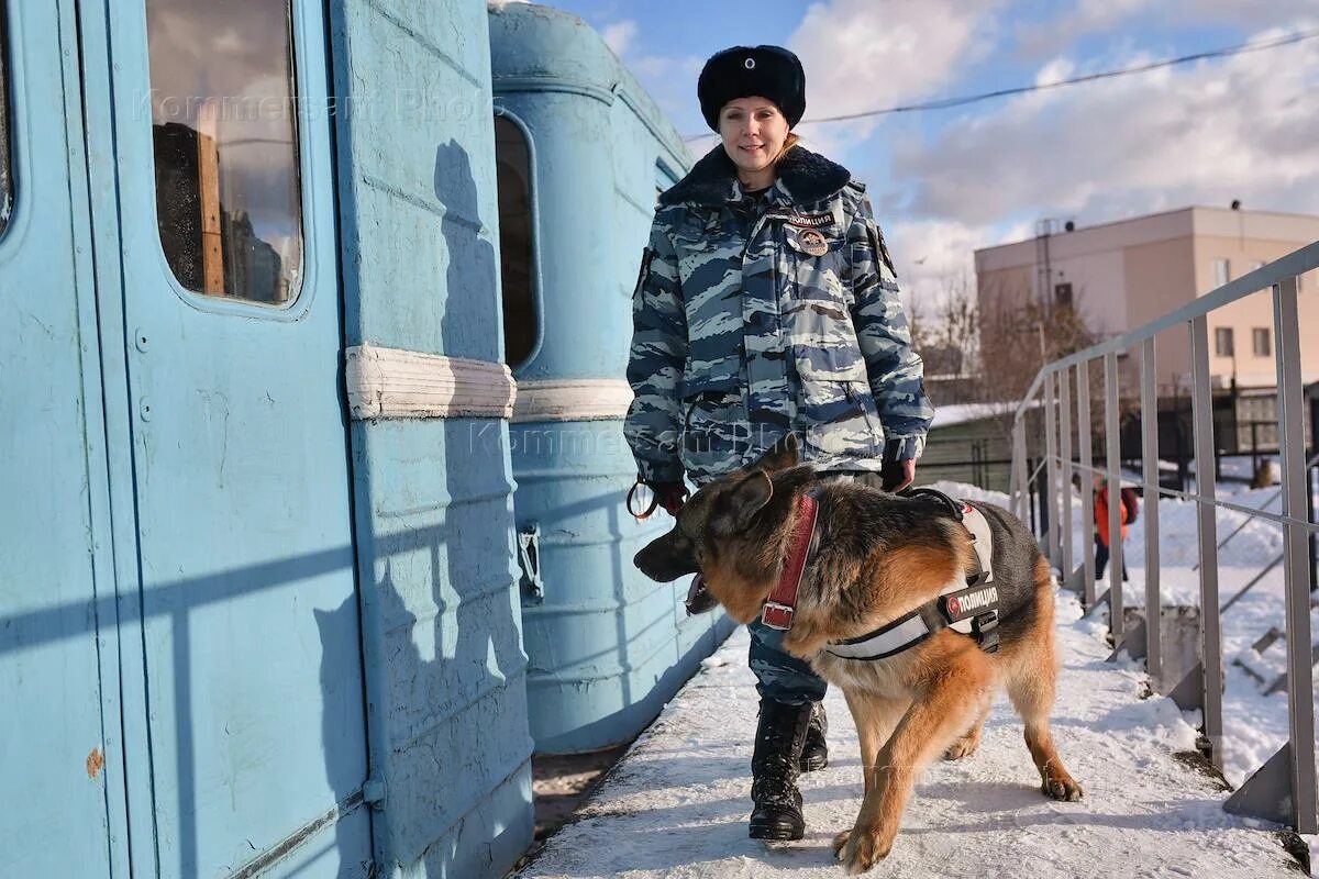 ЦКС на Московском метрополитене. УВД на метрополитене Москва кинологи. Кинологический центр метрополитена. Кинолог в метро Москва. Московских кинолог