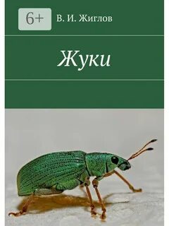 Жук автор