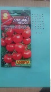 Томат денежный мешок фото