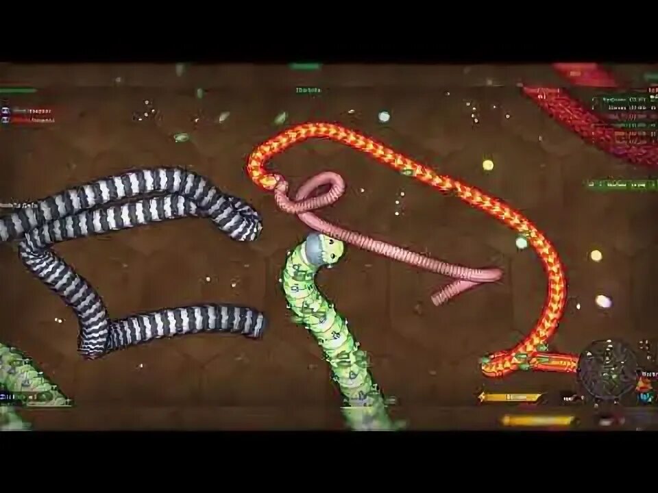 Смол Биг Снейк. Огромная змея в игре Литлл Биг Снэйк. Little big Snake рубины. Питомцы в little big Snake.