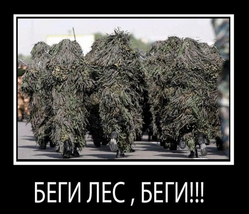 Чем дальше в лес тем толще партизаны. Демотиваторы про лес. беги лес беги. прикол беги лес беги. мемы с деревом.