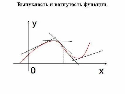 Выпуклость и вогнутость