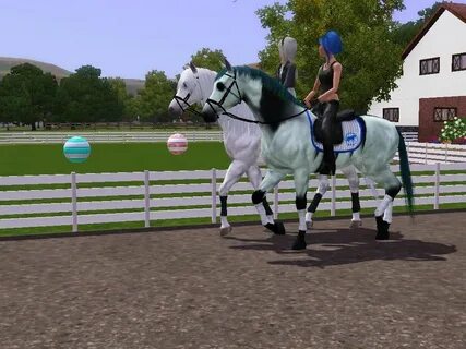 3 hors