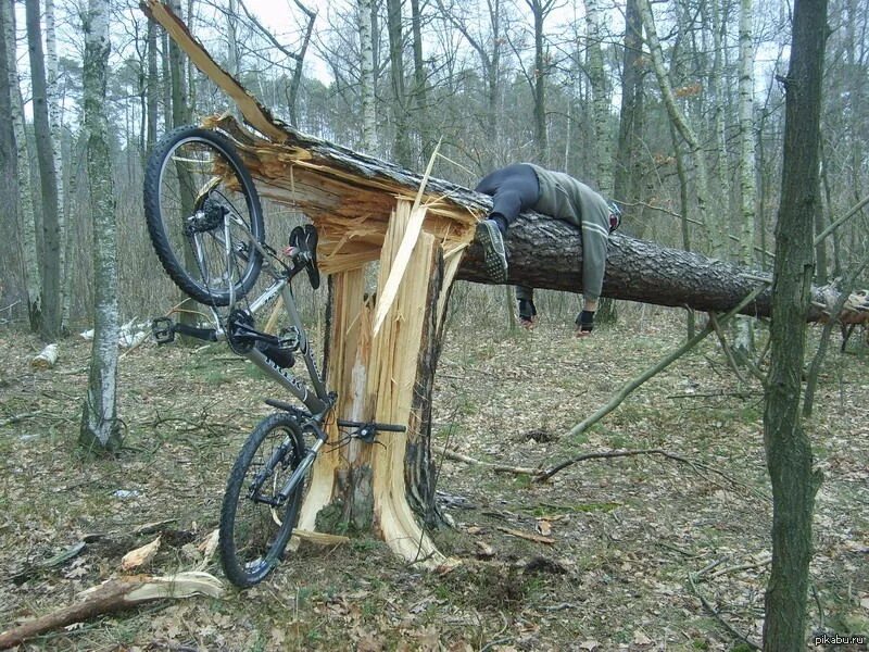 Прикольные велосипеды. Велосипед врезался в дерево. Смешные велосипеды. Велосипед юмор.
