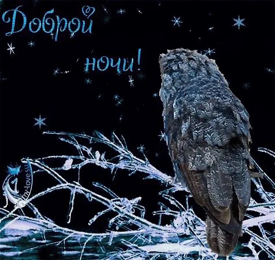 Доброй январской ночи гифки. Доброй зимней ночи. спокойной зимней ночи. доброй ночи сова. доброй ночи зимой.
