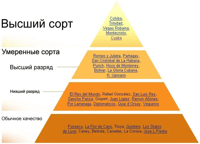 Иерархия брендов швейцарских часов. Часы иерархия. Часы иерархия. Классификация наручных часов. Классификация часовых брендов таблица.