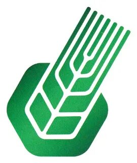 Библиотека бгау